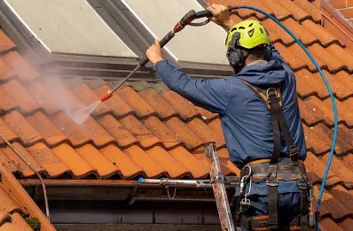 Démoussage et hydrofuge de toiture à Aubous
